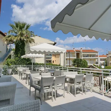 Tropical 하니오티